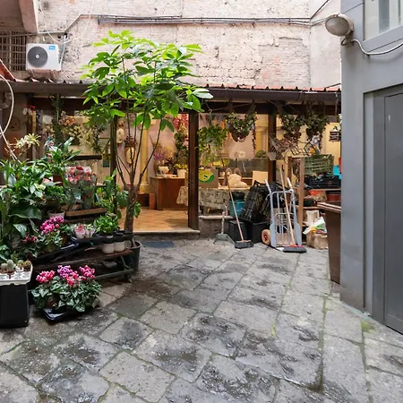 Lovely Vicino Al Mare E Ai Traghetti Appartement